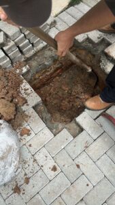 WhatsApp Image 2026-01-21 at 6.51.21 PM