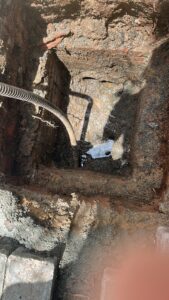 WhatsApp Image 2026-01-21 at 6.51.26 PM