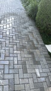 WhatsApp Image 2026-01-21 at 6.51.27 PM (2)